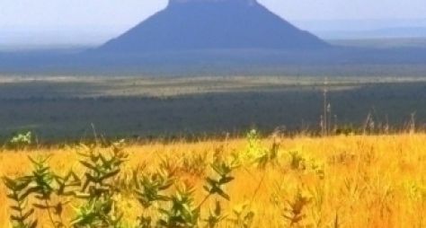 Novela de Walcyr Carrasco pode ser gravada no Tocantins