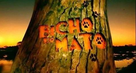 Sem Vidas em Jogo, reprise de Bicho do Mato perde público