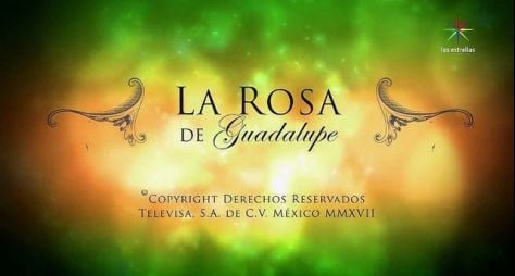 SBT: "Rosa dos Milagres" será a substituta de Carrossel