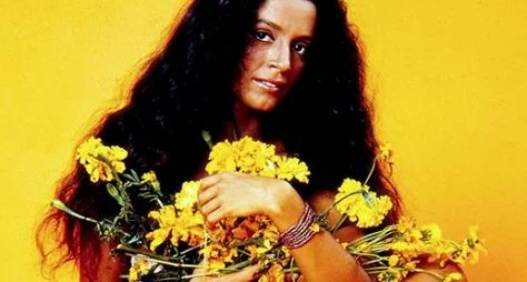 Sônia Braga teria recusado convite para atuar em novela de Gilberto Braga