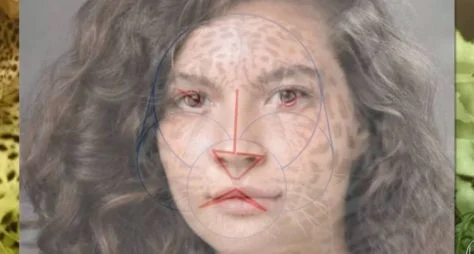 TV Globo usará uma onça domesticada em gravações de "Pantanal"