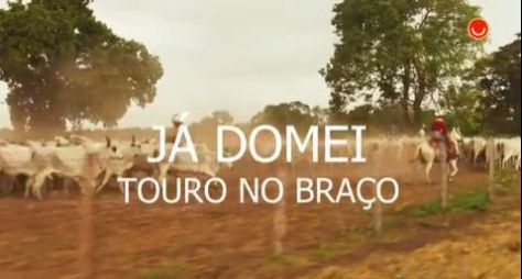 Sucesso de ‘O Rei do Gado’ aparece em ‘Pantanal’; veja qual