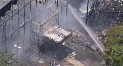 Globo não cogita esticar "Todas as Flores" após incêndio em cenário 