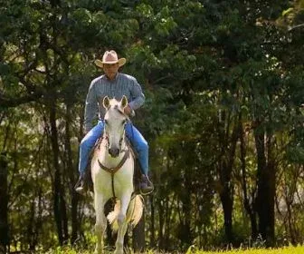 Novela "Vai na Fé" estreia com imagens da TV TEM