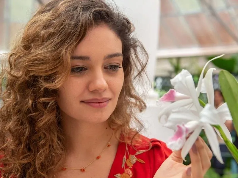 Veja os estrangeiros que fazem sucesso nas novelas brasileiras