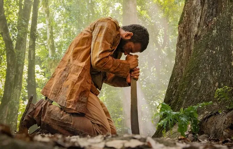 Renascer: narrativa atemporal, repleta de mistérios, dramas, amores, vingança e lendas