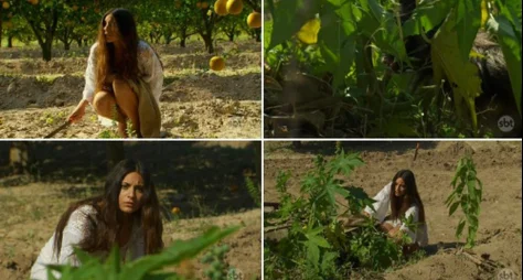 Estreia de “Coração Indomável” deixa SBT em 4º lugar no Ibope