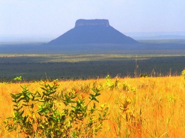 Jalapão, região do Tocantins. Foto: TV Globo