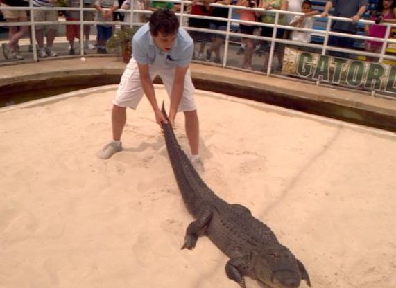 Celso Portiolli passa apuros com crocodilos no "Domingo Legal"